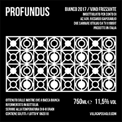 Etichetta del vino Profundus 2017 Villa Capodaglio