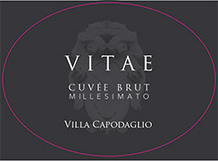 Etichetta del vino Vitae 2017 Villa Capodaglio